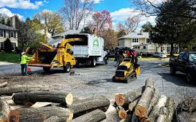 Best Tree Mulching  in Oxford, AL